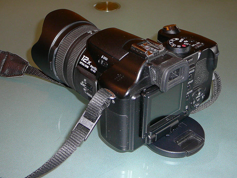 P1020962-4-1-2-2.jpg