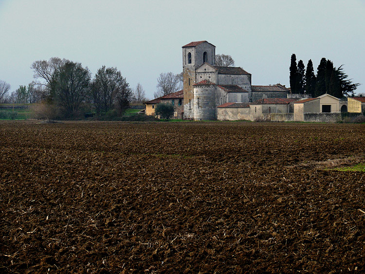 P1030194-1.jpg