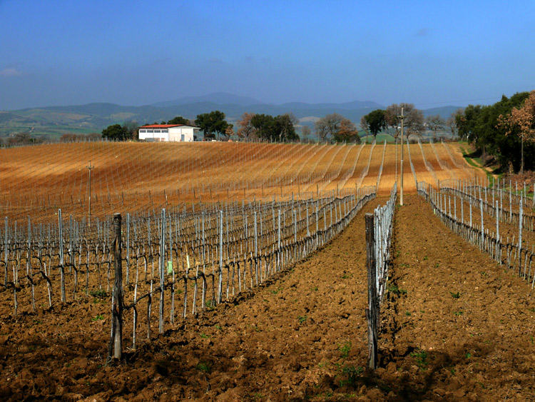 P1030278-2.jpg