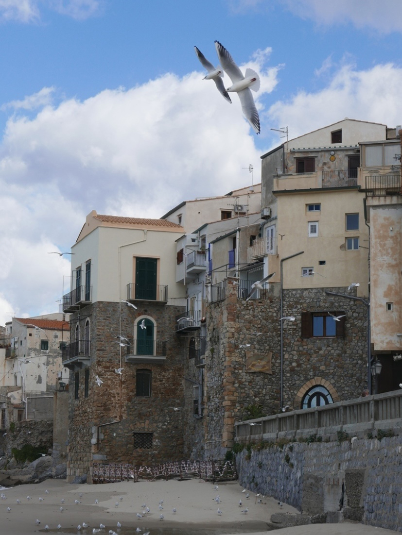 P1030814-crop.jpg