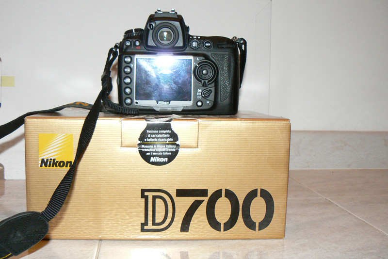 P1030983.JPG