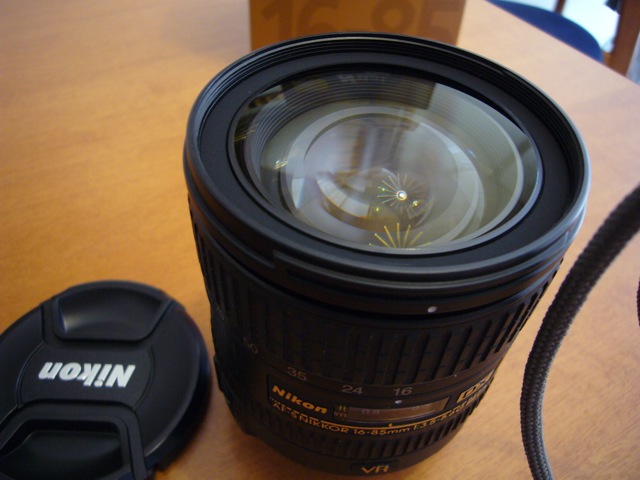P1040036.jpg