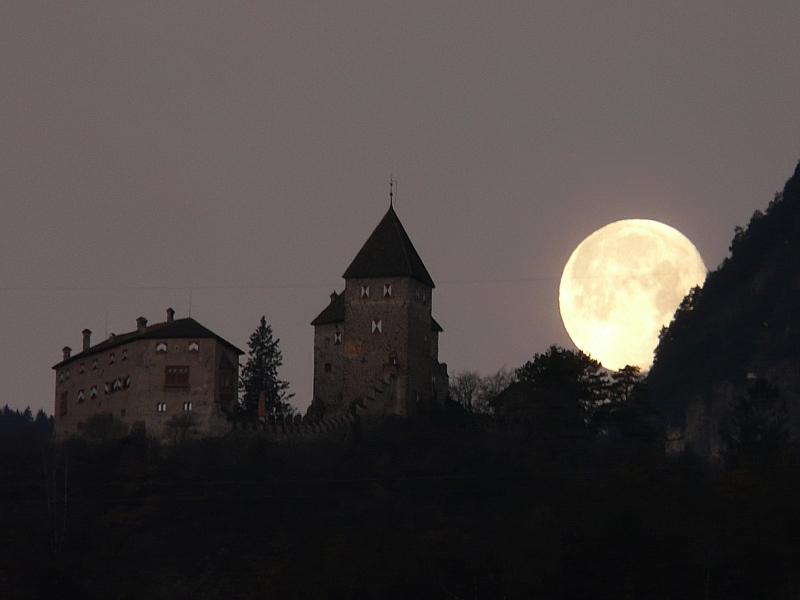 P1040284_800.JPG