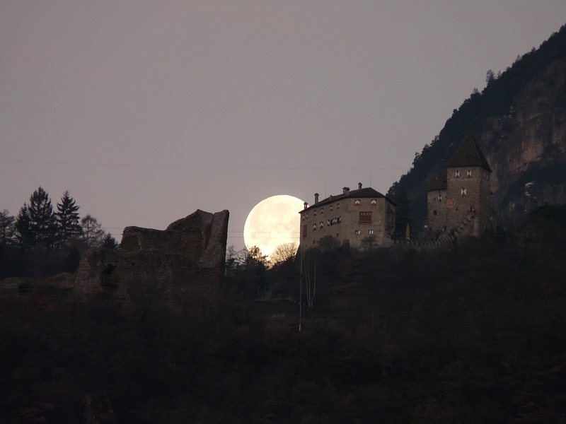 P1040290_800.JPG