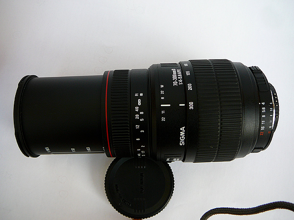 P1040354.jpg