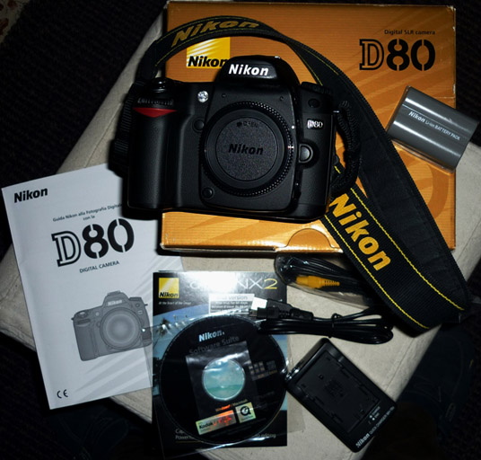 P1040413rr.jpg