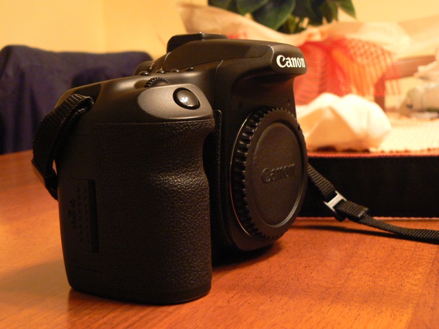 P1040622.JPG
