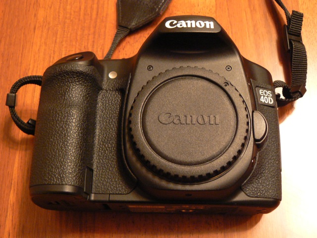 P1040629.JPG