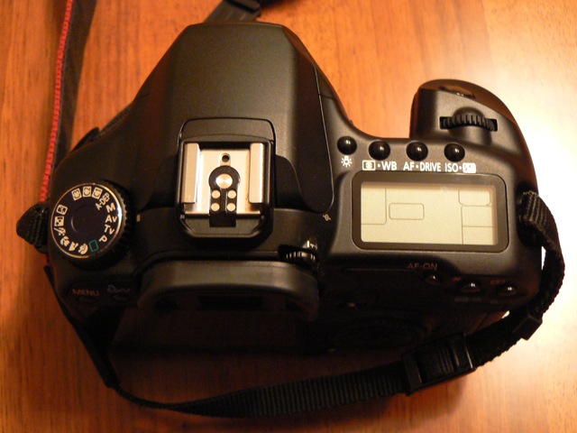 P1040635.JPG