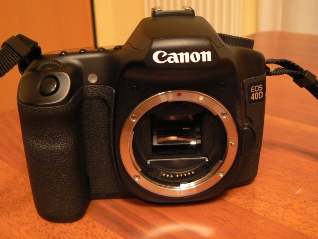 P1040641.JPG