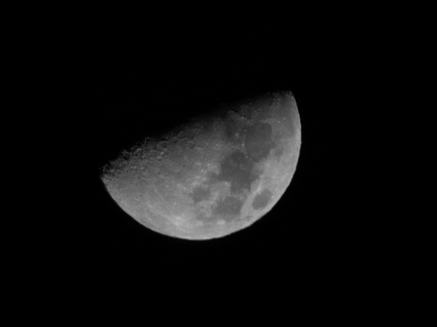 P1040690a.jpg