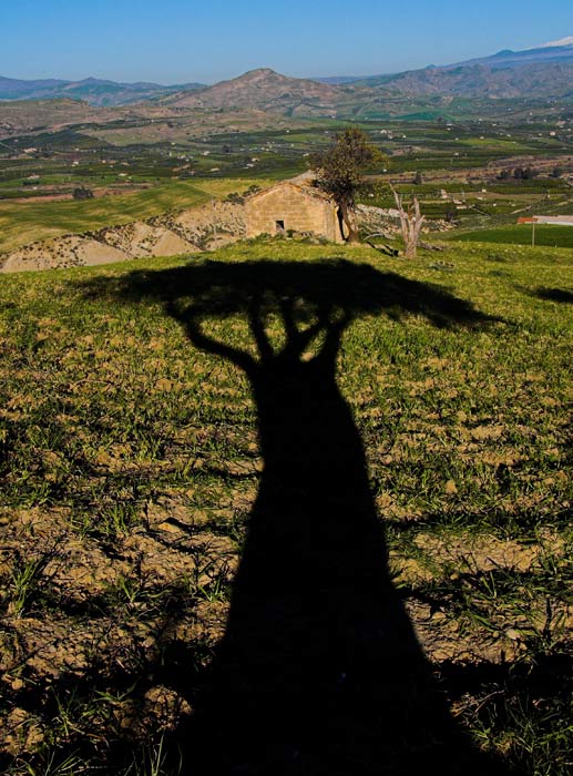 P1040901_2RSE-01#.jpg