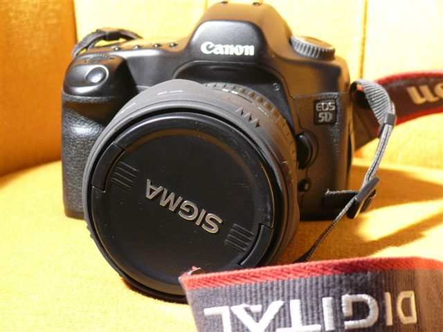 P1040957.JPG