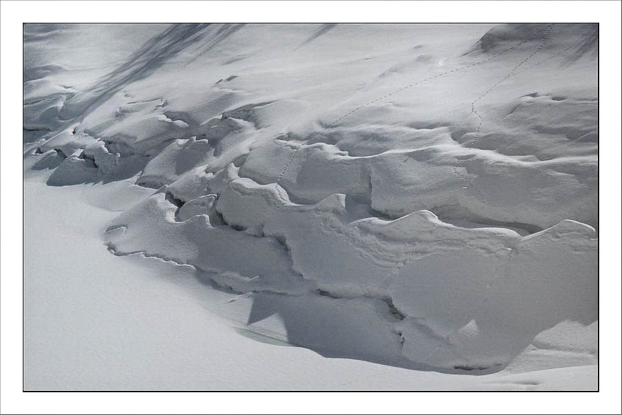 P1050242 copia_Copy copia.jpg