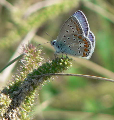 P1050619.jpg