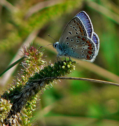 p1050619_675.jpg