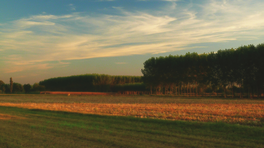 P1050690_b.jpg