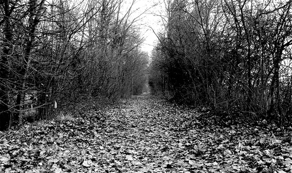 P1050741r2.jpg
