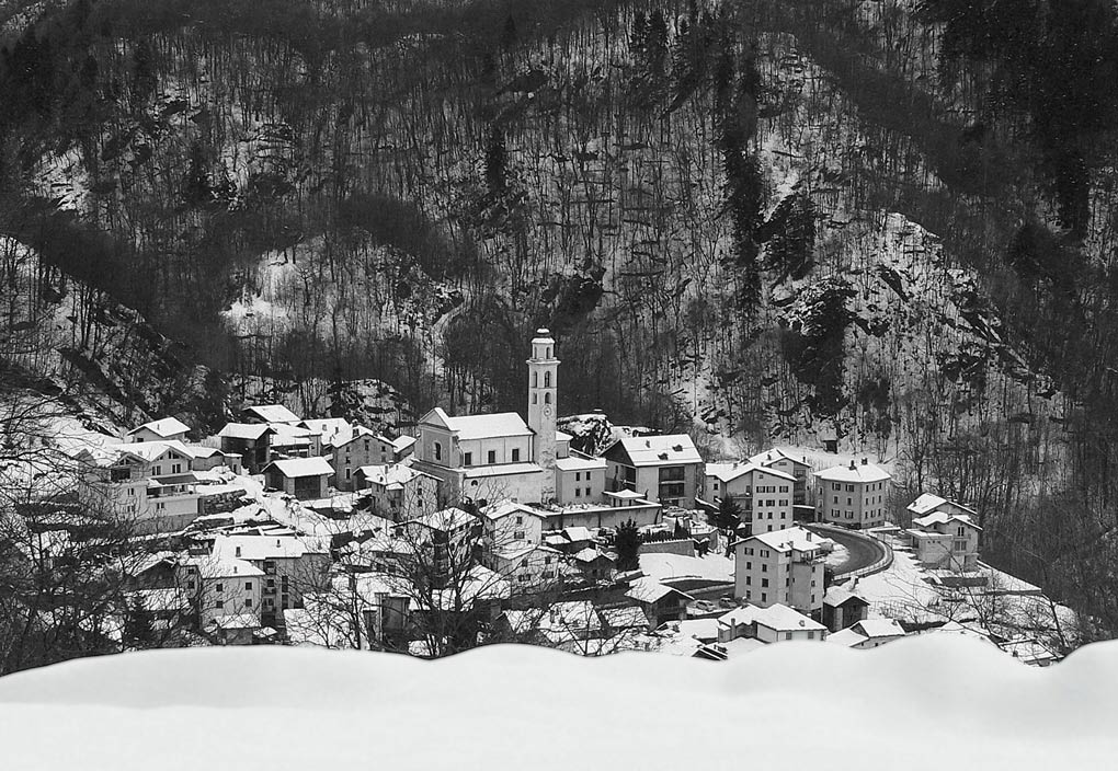 P1050774-2.jpg