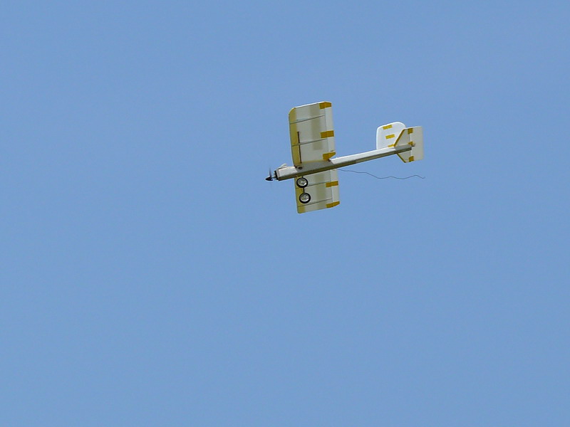 P1060054.jpg