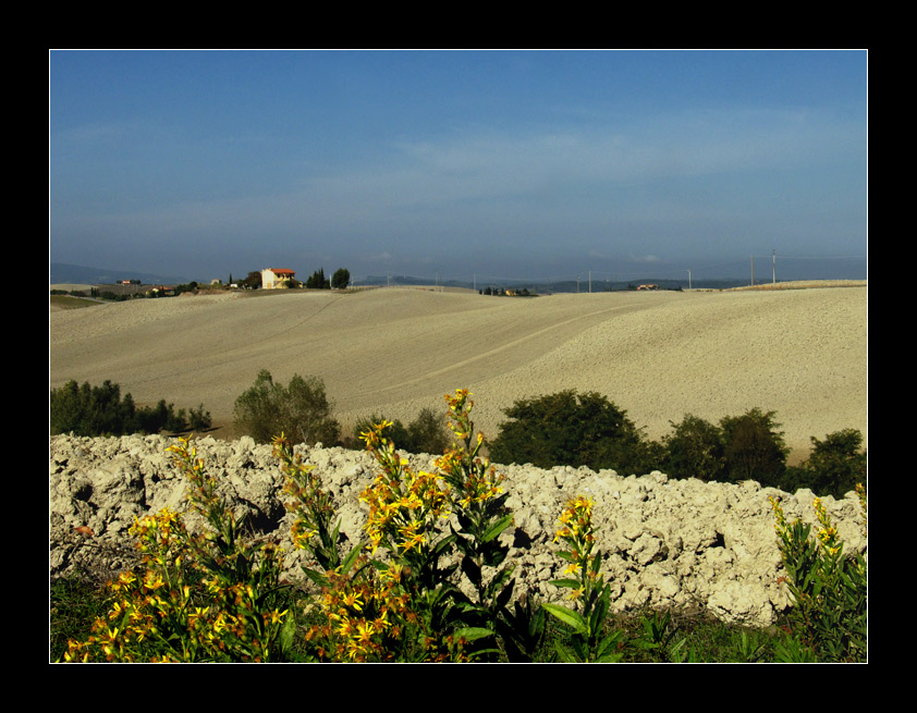 P1060677-1_filtered.jpg