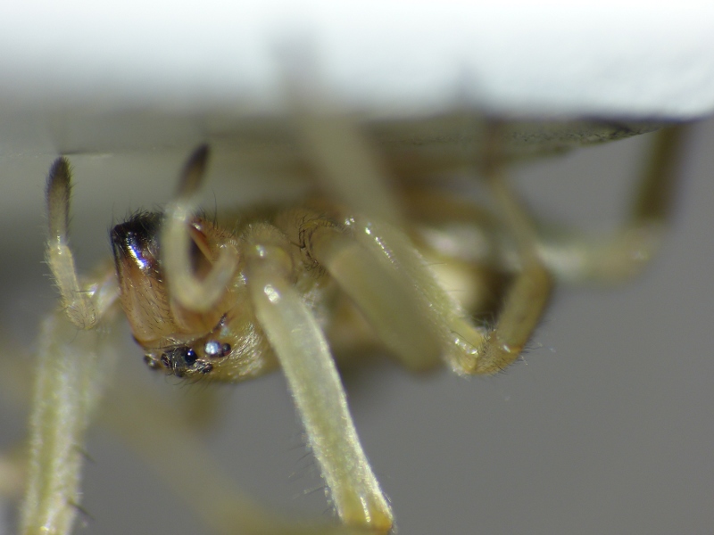 P1060947-web.JPG