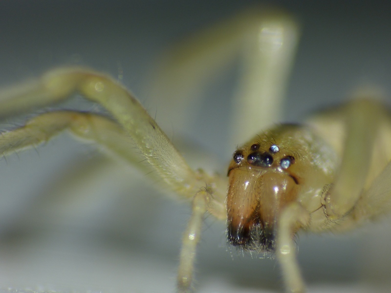 P1060961-web.JPG