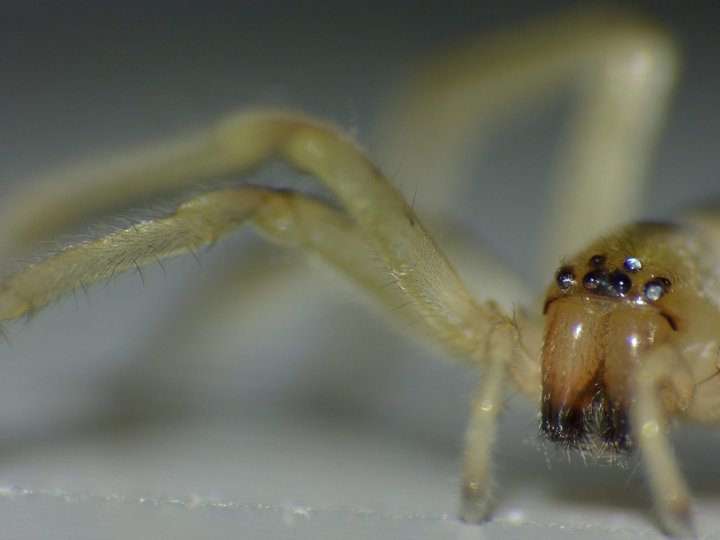 P1060968-web.JPG