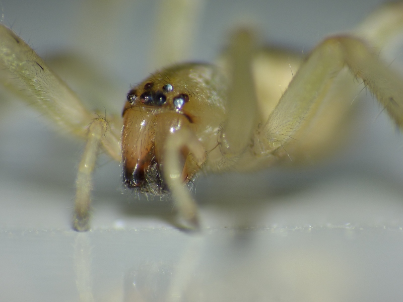 P1060972-web.JPG