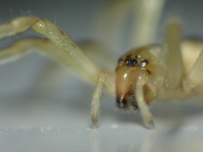 P1060975-web.JPG