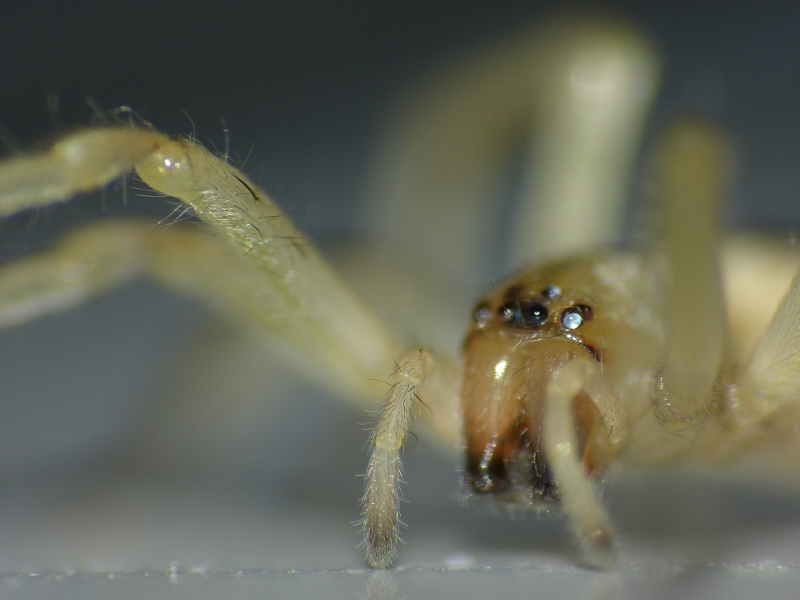P1060976-web.JPG