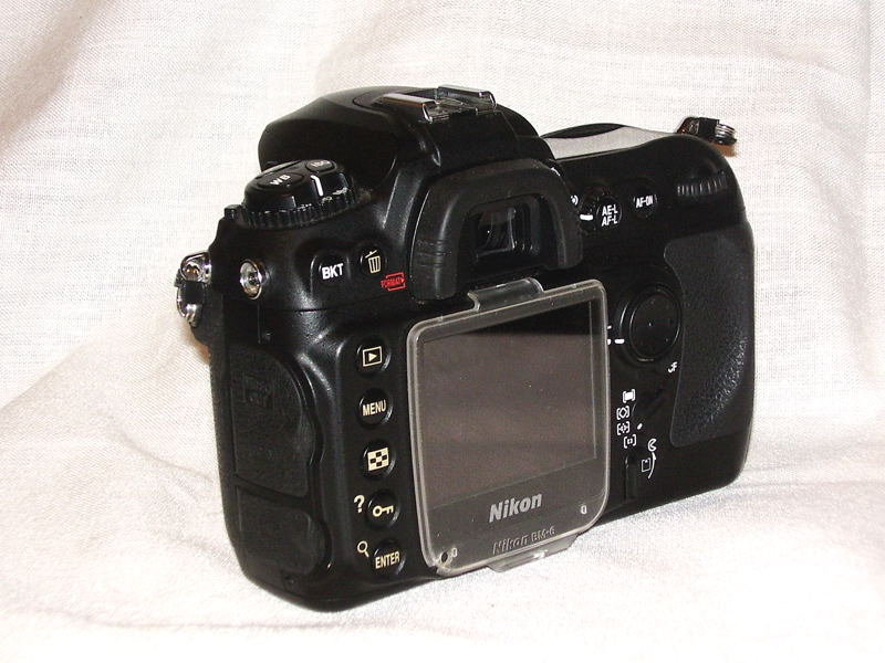 P1070218.jpg