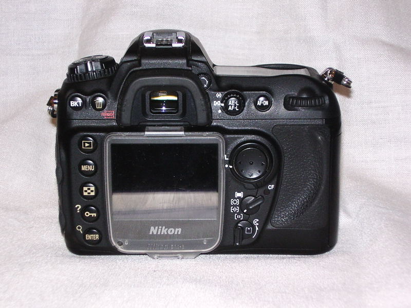 P1070219.jpg