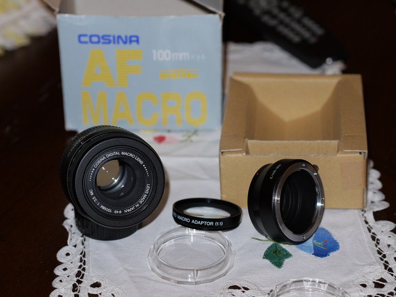 P1070418.JPG