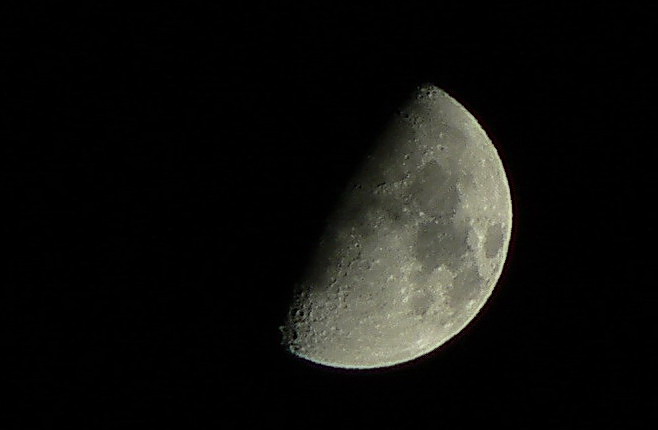 P1070840.jpg