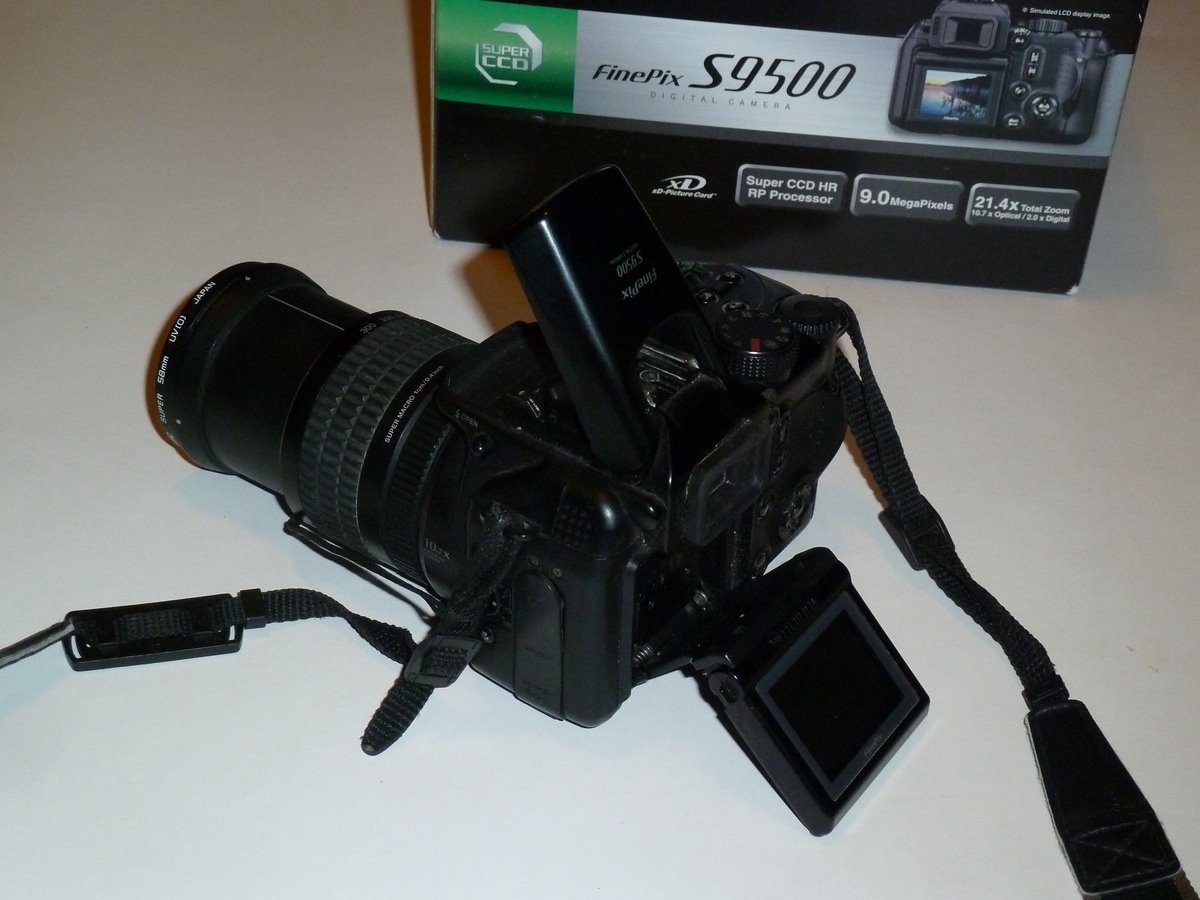 P1080041.JPG