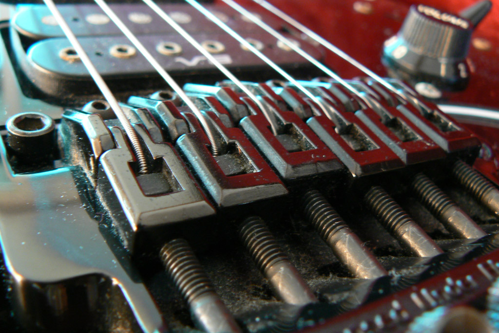P1080251_.jpg