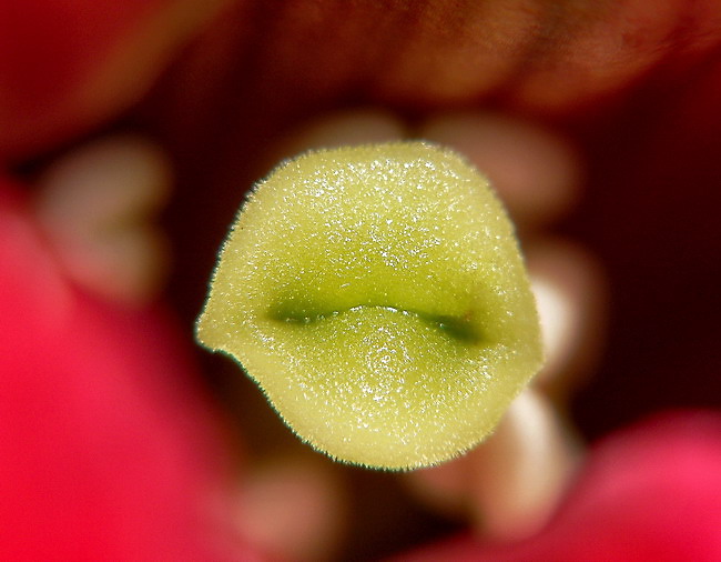 p1080568_e_resize.jpg