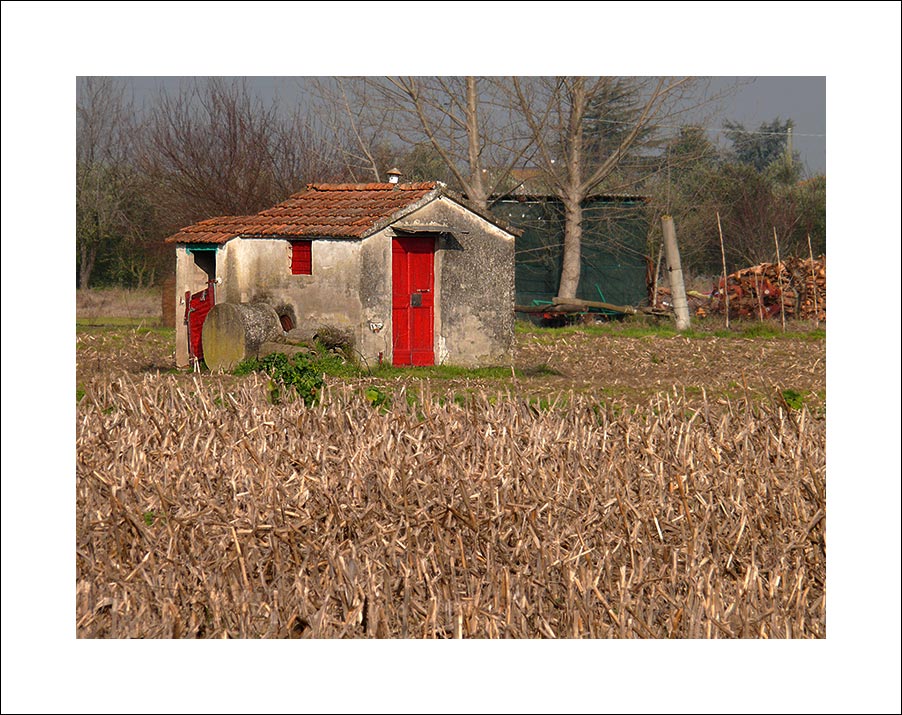 P1080583-2.jpg