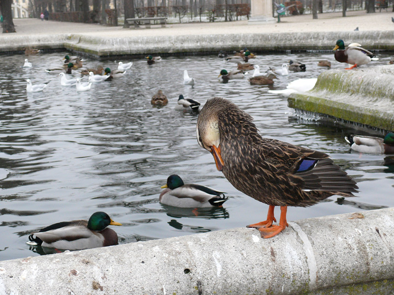 P1080584.jpg
