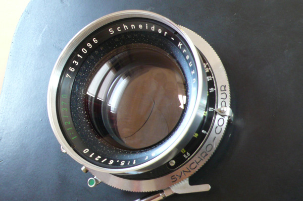 P1090278.jpg
