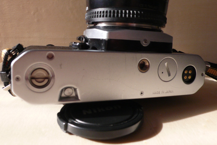 P1090403.jpg
