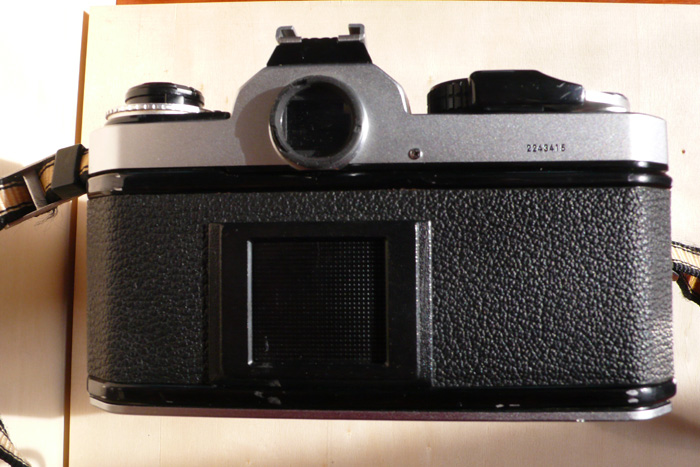 P1090405.jpg