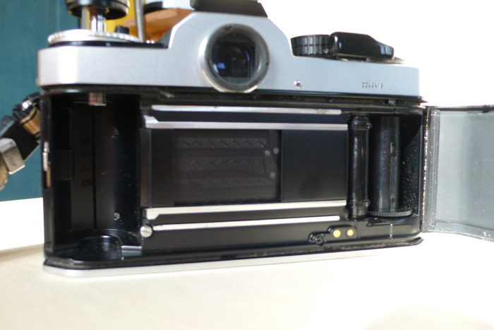 P1090410.jpg