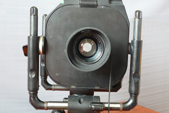 P1090434.jpg