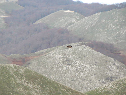 P1090457.jpg