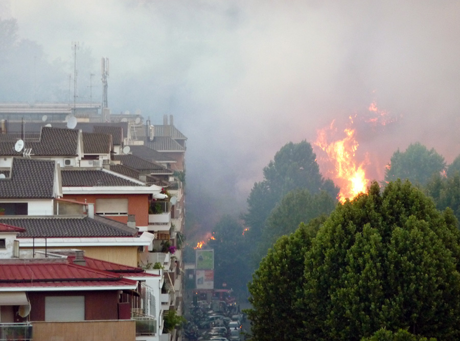 P1090851 ridotta.jpg