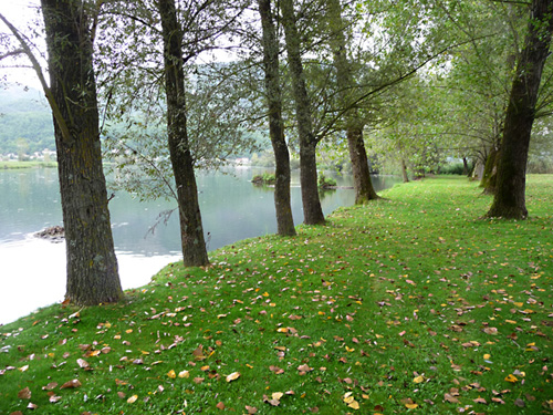 P1100304 rrr.jpg