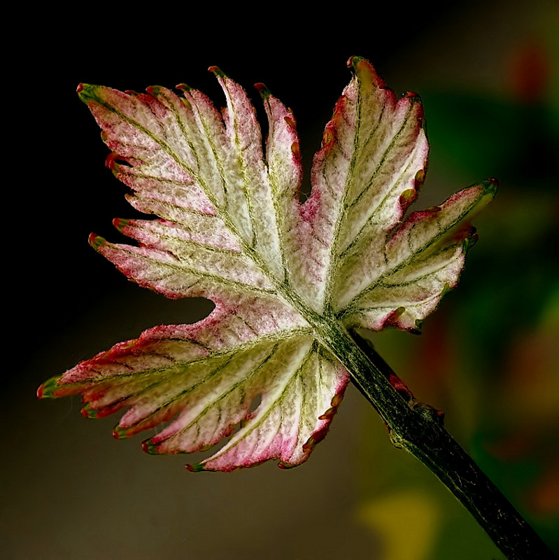 P11005131.jpg