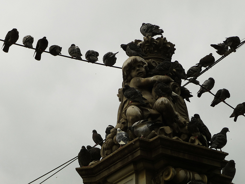 P1120030-ww1.jpg